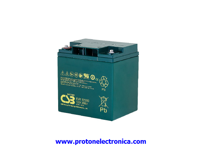BATERIA CSB EVX12300 12V/ 30Ah USO CICLICO